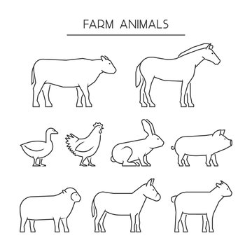 Vector line set of farm animals. Silhouettes animals isolated on