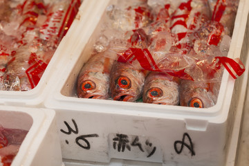 Tsukiji Fish Market, Japan.