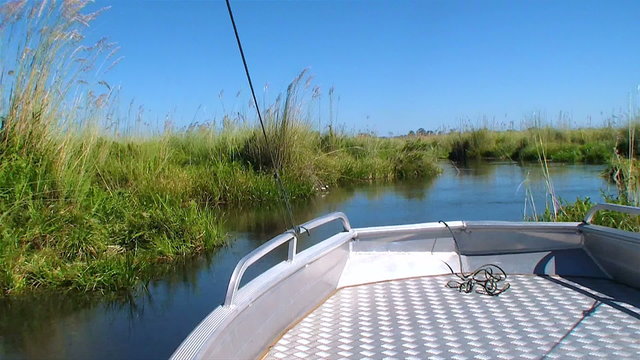 Boat navigating on a day with clear blue sky, in the Okavango Delta in Botswana, Africa.
