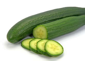Gurken - Cucumis
