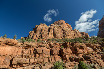 Panoramic view to Zion National Park