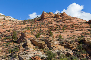 Panoramic view to Zion National Park