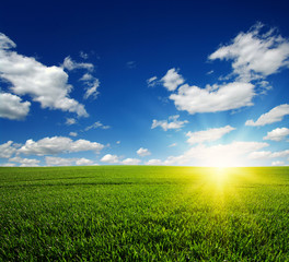 Obraz premium field and sun