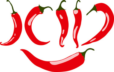 Red chili pepper, vector illustration, isolated, on white background