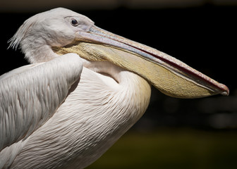 20080512_zoo_Bilderforum_032