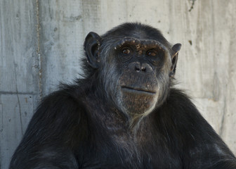 20080512_zoo_Bilderforum_055