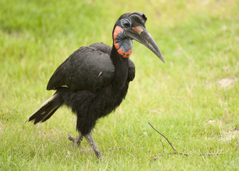 20080725_zoo_Bilderforum_088