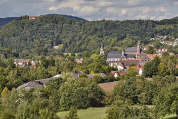 Fototapeta na wymiar Amorbach; ehem Abteikirche (Bayern)