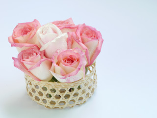 pink roses in basket isolated