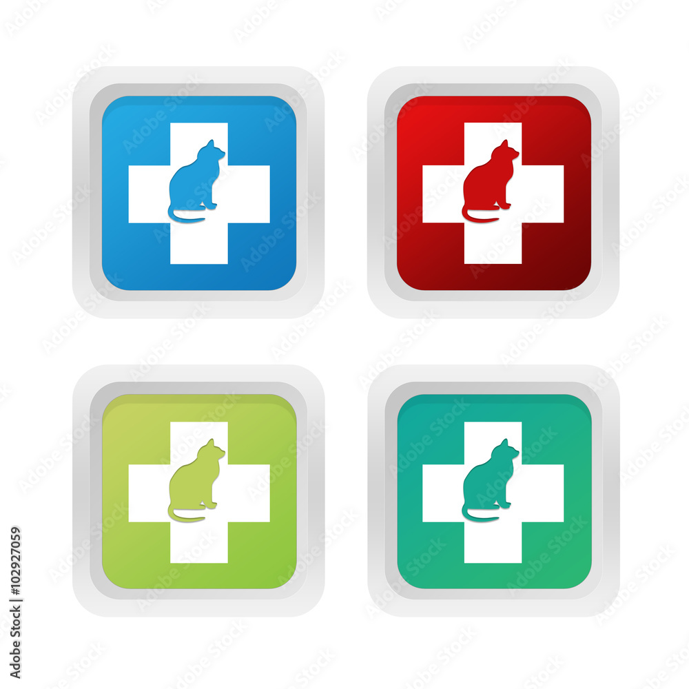 Poster squared colorful buttons with veterinary and cat symbol in blue, green and red colors