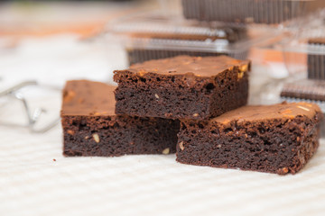 Fresh Homemade Chocolate Brownie