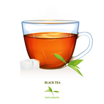 Black Tea illustration. Vector. Beautiful illustration of black tea cup with tea leaves and two peaces of sugar. Glass cup.