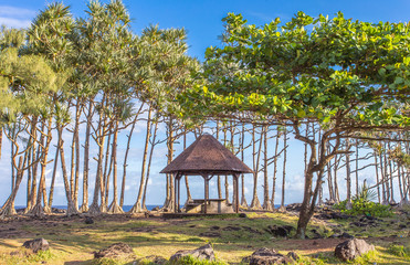 aire de pique-nique du Puits Arabe, Saint-Philippe, Réunion 