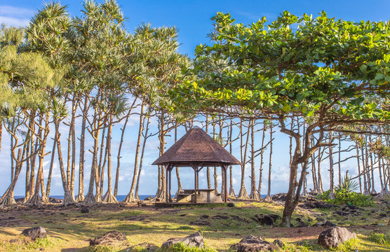 aire de pique-nique du Puits Arabe, Saint-Philippe, R&eacute;union 