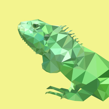 polygonal green chameleon, polygon triangle animal, reptile