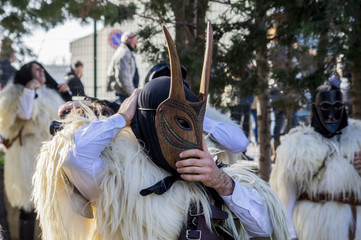 Carnevale / Fotografie alle maschere di carnevale di Ottana ed Escalaplano