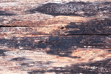 old wood pattern and surface
