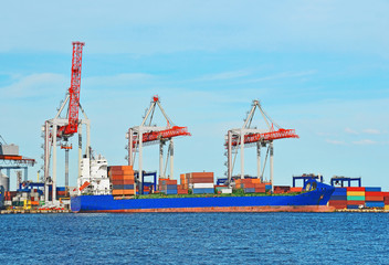 Cargo crane and ship