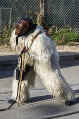 Carnevale / Fotografie alle maschere di carnevale di Ottana ed Escalaplano