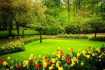 Plakat spring blooming garden