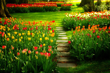 Stone path  winding in a garden