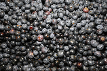 Fresh blueberry texture certified organic blueberries 