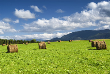 Country landscape in Midi-Pyrenees (France)