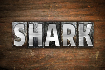 Shark Concept Metal Letterpress Type