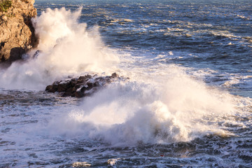 wave crashing over rock with sunset light