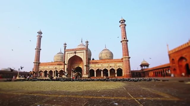 Pan shot of birds flying in front of a mosque, Jama Masjid, Delhi, India