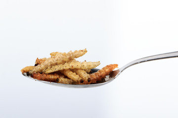 Thai Insects, Fried insects mealworms for snack (Thai people called Express Train).