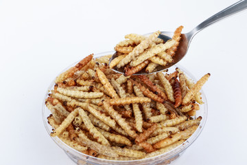 Thai Insects, Fried insects mealworms for snack (Thai people called Express Train).