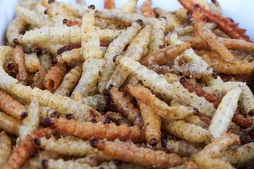Thai Insects, Fried insects mealworms for snack (Thai people called Express Train).