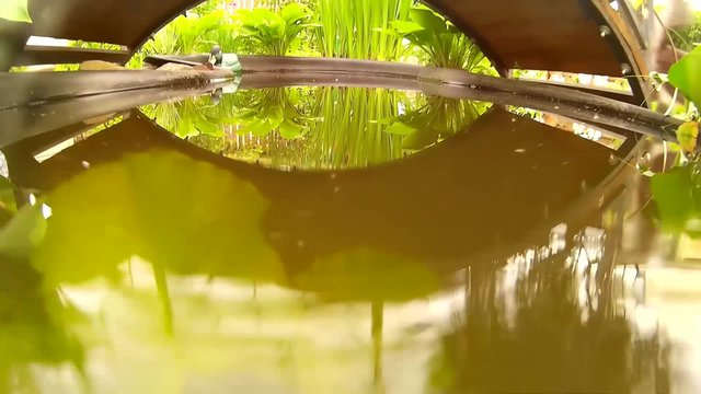 Вода