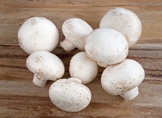 Fresh white mushrooms