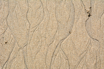 sand texture