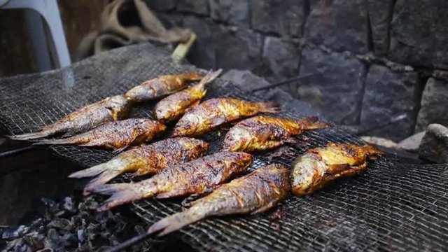 Locked-on shot of fishes on a grill, Kisama, Kohima, Nagaland, India