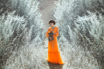 The beautiful countess in a long orange dress stands and reading a book, elf,  Princess in vintage dress, the queen of the forest,fashionable toning creative computer colors
