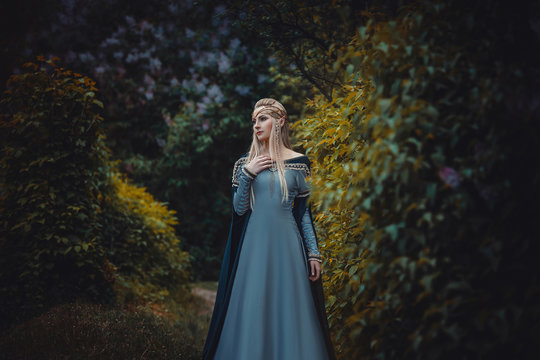 The beautiful elf in a long blue dress  is walking in a green forest full of branches,    ,Princess in vintage dress, the queen of the forest,fashionable toning,creative computer colors