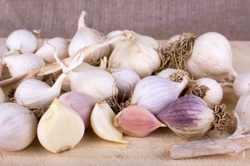 garlic