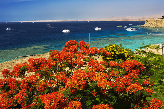 Egypt. Sharm el Sheikh. Hadaba Cliff with one of the loveliest view on Ras Umm Sid