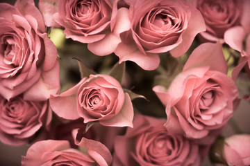 Big bouquet of pink roses