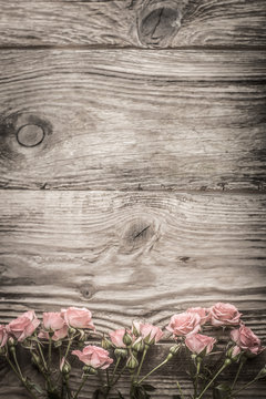 Fototapeta Pink flowers on gray wooden boards