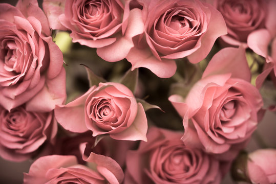 Fototapeta Big bouquet of pink roses