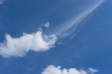 Fototapeta na wymiar blue sky and softly cloud