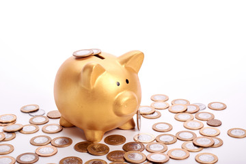 Golden piggy bank with savings in coins
