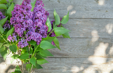 Purple lilac flowers on garden table
