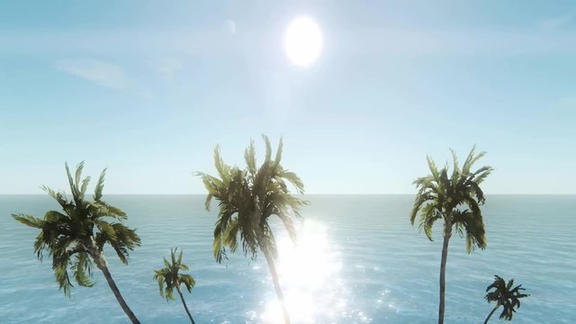 Palmen und Meerblick Video III