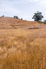  dry landscape in Martim longo, Portugal