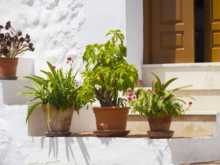 Weiße Häuser in schmaler Gasse im Ort Frigiliana, Nerja, Costa del Sol, Andalusien, Spanien, Europa